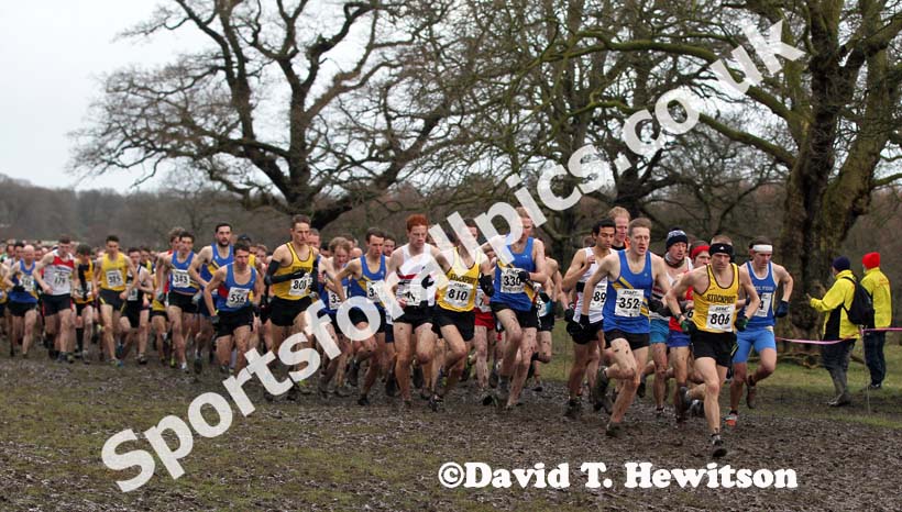Start of the senior mens Northern Cross Country Champs, Knowsley Safari Park. Photo: David T. Hewitson/Sports for All Pics